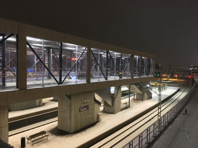 Landskapsarkitektur