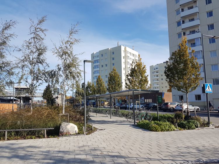 Landskapsarkitektur