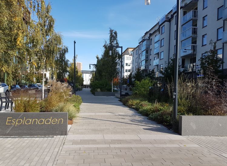 Landskapsarkitektur