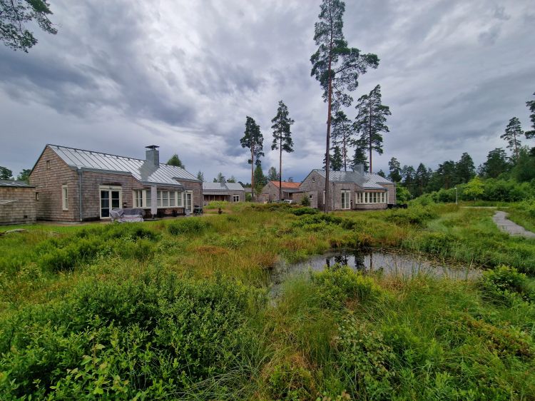 Landskapsarkitektur