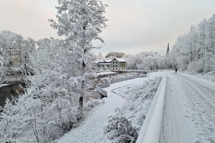 Landskapsarkitektur